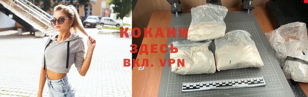 крисы Инта
