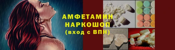 крисы Инта