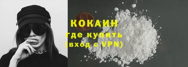 крисы Инта