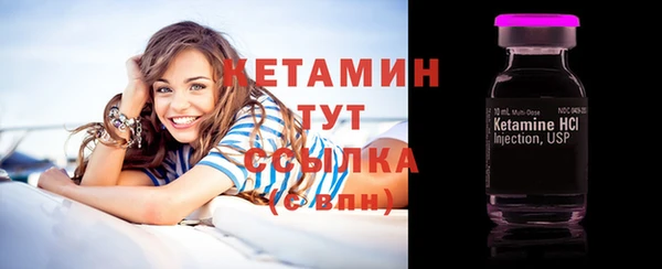 крисы Инта