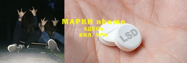 крисы Инта