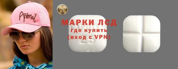 крисы Инта