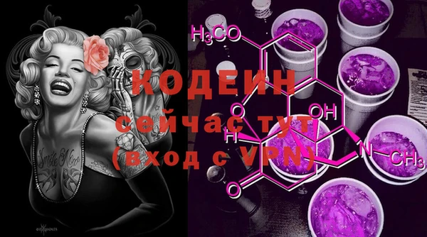 крисы Инта