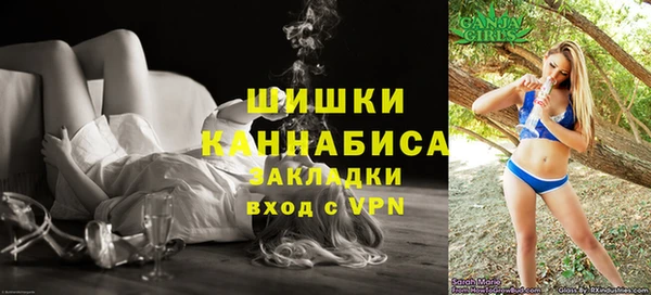 крисы Инта