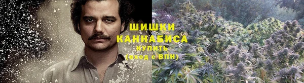 крисы Инта