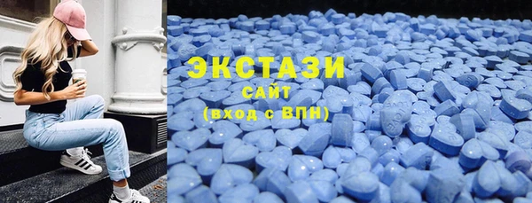 крисы Инта