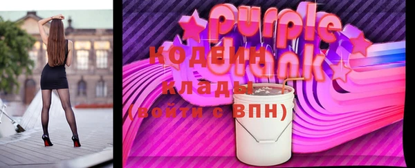 крисы Инта