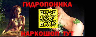 Альфа ПВП Камышлов