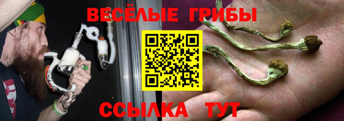 Карасук  Псилоцибиновые грибы MAGIC MUSHROOMS  Вход с VPN 