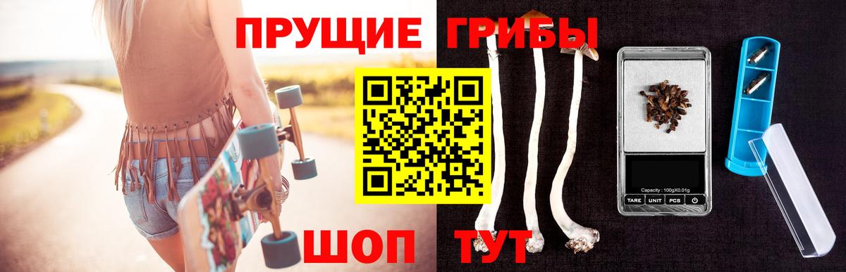 Псилоцибиновые грибы ЛСД Карасук